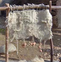 Tejido de la lana